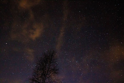 Low angle view of star field against sky at night