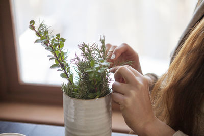 Midsection of woman picking leaves of herb plant at home