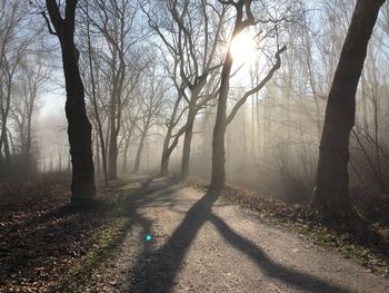 Trees on landscape during autumn