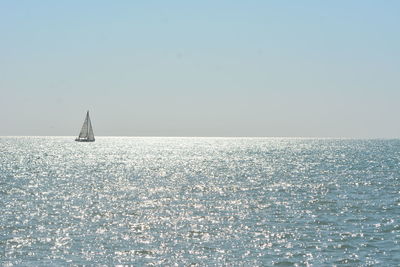 Sailboat sailing on sea against clear sky