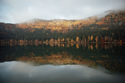 Scenic view of lake by trees against sky