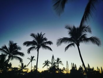 Low angle view of silhouette palm trees against sky