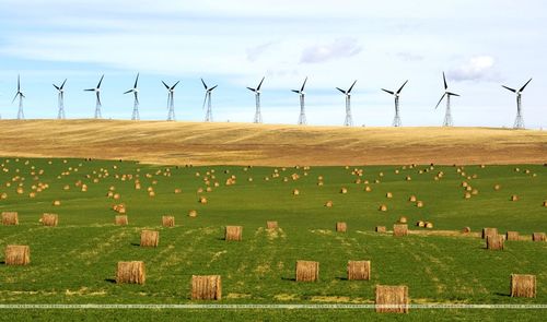 Wind turbines on field against sky