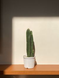 Close-up of potted plant on table at home