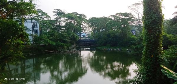 Scenic view of lake against trees