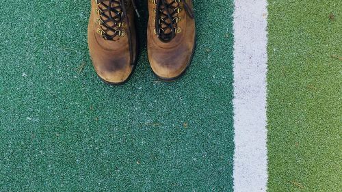 Low section of man standing on grass