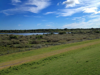 Scenic view of field against sky