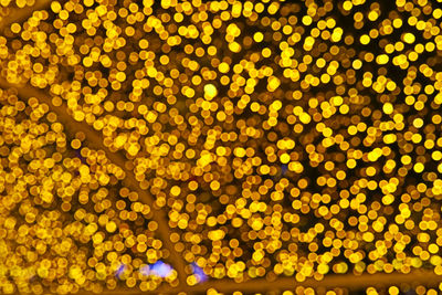 Full frame shot of illuminated yellow lights