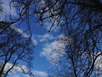 Low angle view of silhouette tree against sky