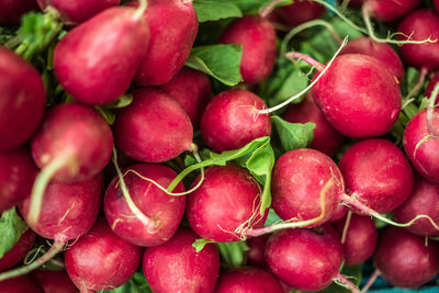 Full frame shot of radish