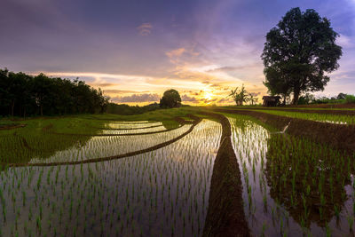 Beautiful morning view from indonesia of mountains and tropical forest