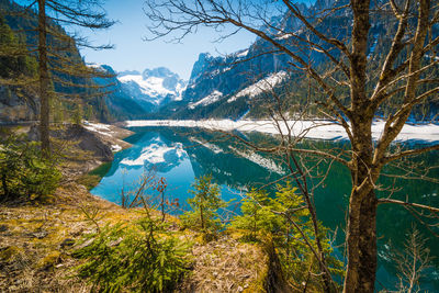 Scenic view of lake by trees against sky