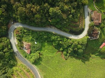 High angle view of road amidst trees