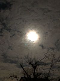 Low angle view of silhouette bare trees against sky