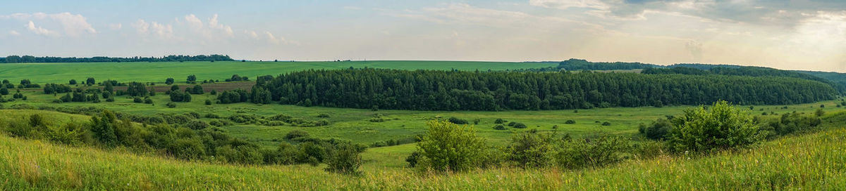 Scenic view of field against sky