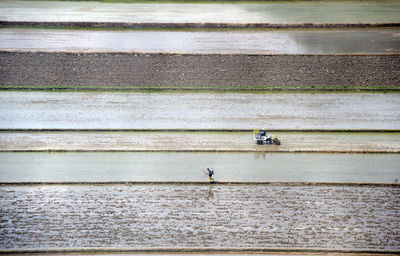 Farmers at agricultural field