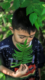 High angle view of boy holding leaves by plant