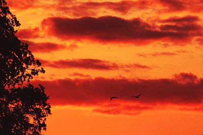 Low angle view of cloudy sky at sunset