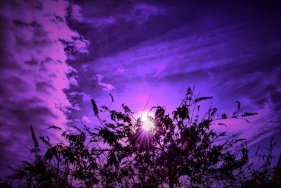 Low angle view of trees against sky