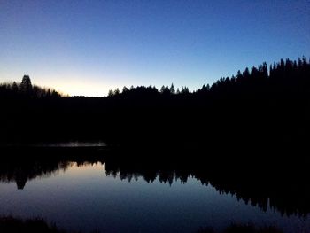 Reflection of trees in calm lake