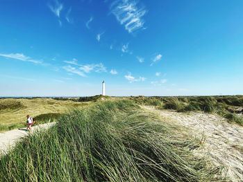 Scenic view of field against blue sky