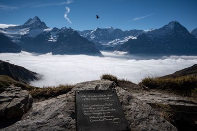 Information on rock against mountain