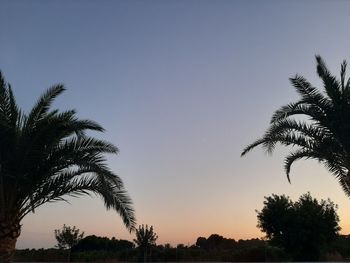 Low angle view of silhouette palm trees against clear sky