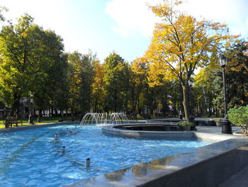 Swimming pool by trees against sky