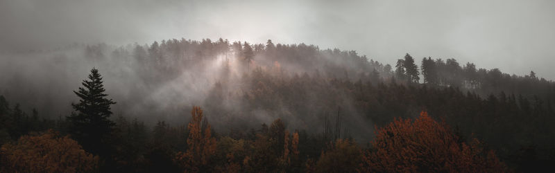 Panoramic view of forest against sky during autumn