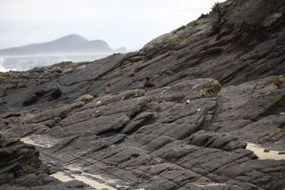 Rock formation on land against sky