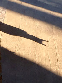 Shadow of sunlight falling on floor