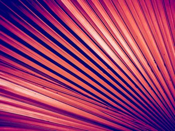 Full frame shot of abstract pattern