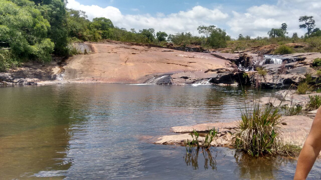 SCENIC VIEW OF RIVER AND TREES AGAINST SKY