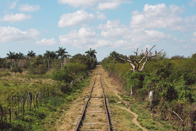 Railroad tracks amidst trees on field against sky