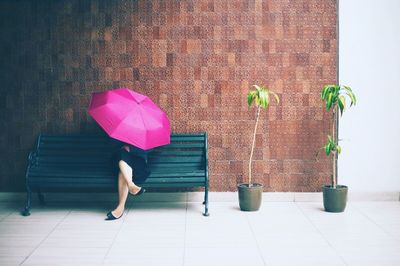 Low section of woman with pink umbrella
