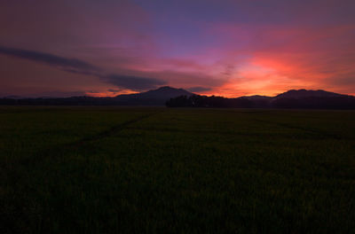 Scenic view of field against sky during sunset