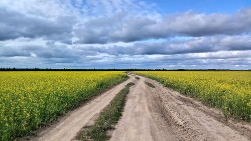 Dirt road amidst field against sky