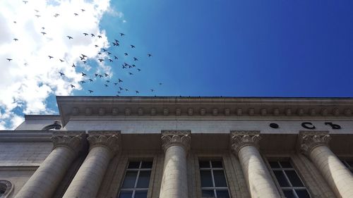 Low angle view of birds flying against sky