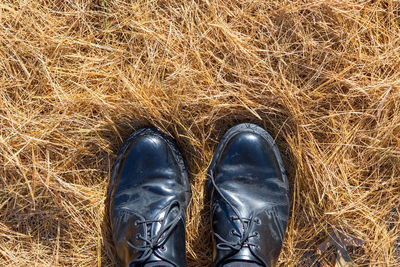 Low section of person standing on field