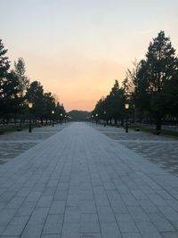 Surface level of footpath amidst trees against sky at sunset