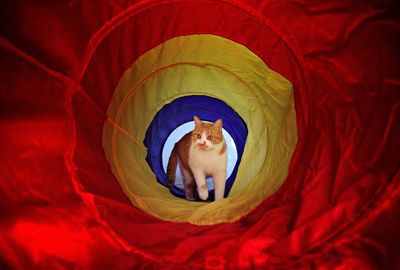 Low angle view of man wearing mask on bed