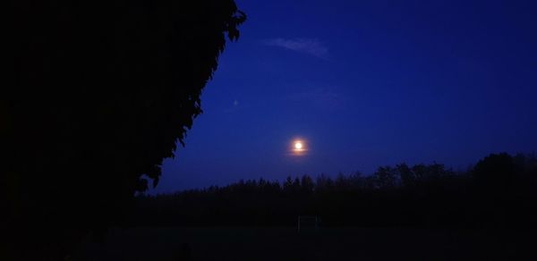 Silhouette trees against sky at night