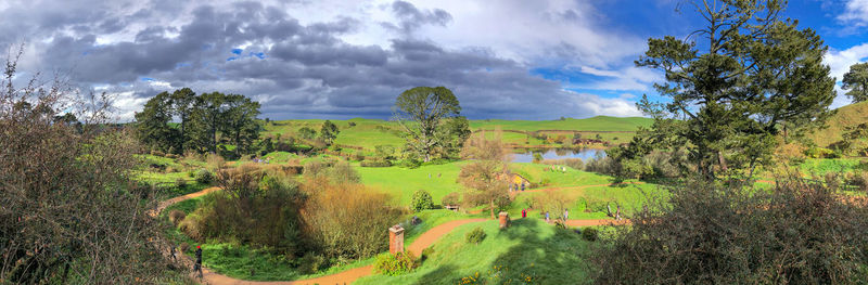 Panoramic shot of trees on field against sky