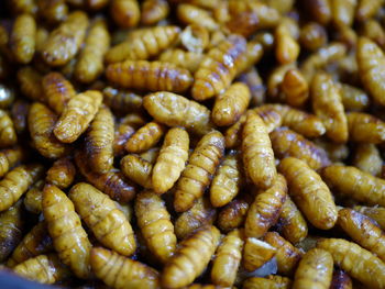 Full frame shot of carrots