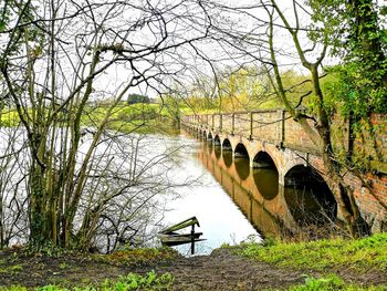 Arch bridge over river in forest