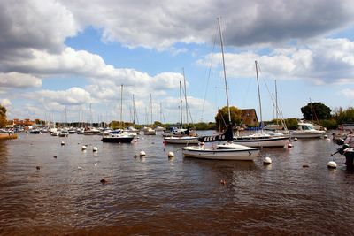 Sailboats moored in harbor against sky