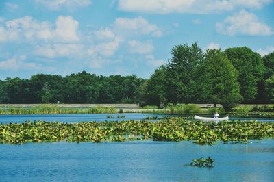 Scenic view of lake against trees