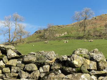 Rocks on field against clear blue sky