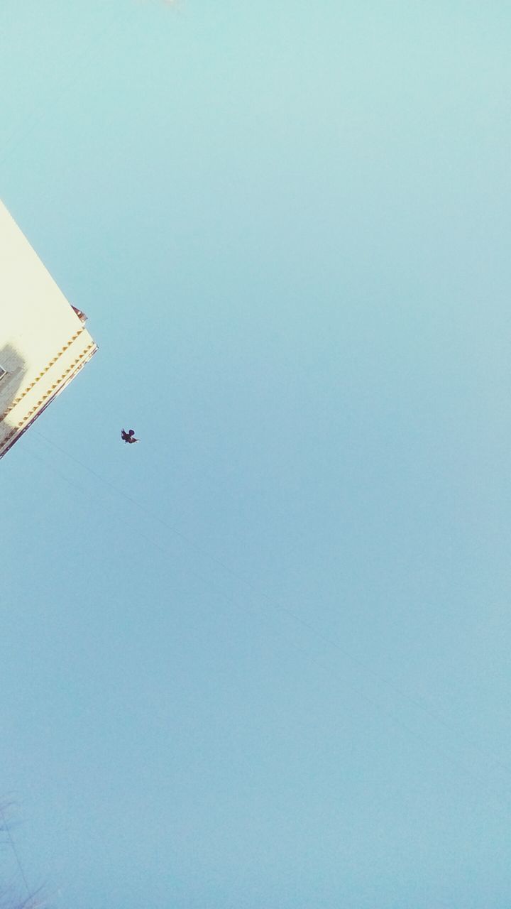 copy space, low angle view, blue, clear sky, no people, day, nature, sky, outdoors, moon