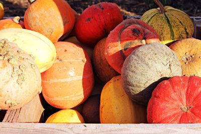 Close-up of pumpkins